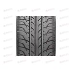 Автошина 205/55/R15 RIKEN MAYSTORM 2 88V